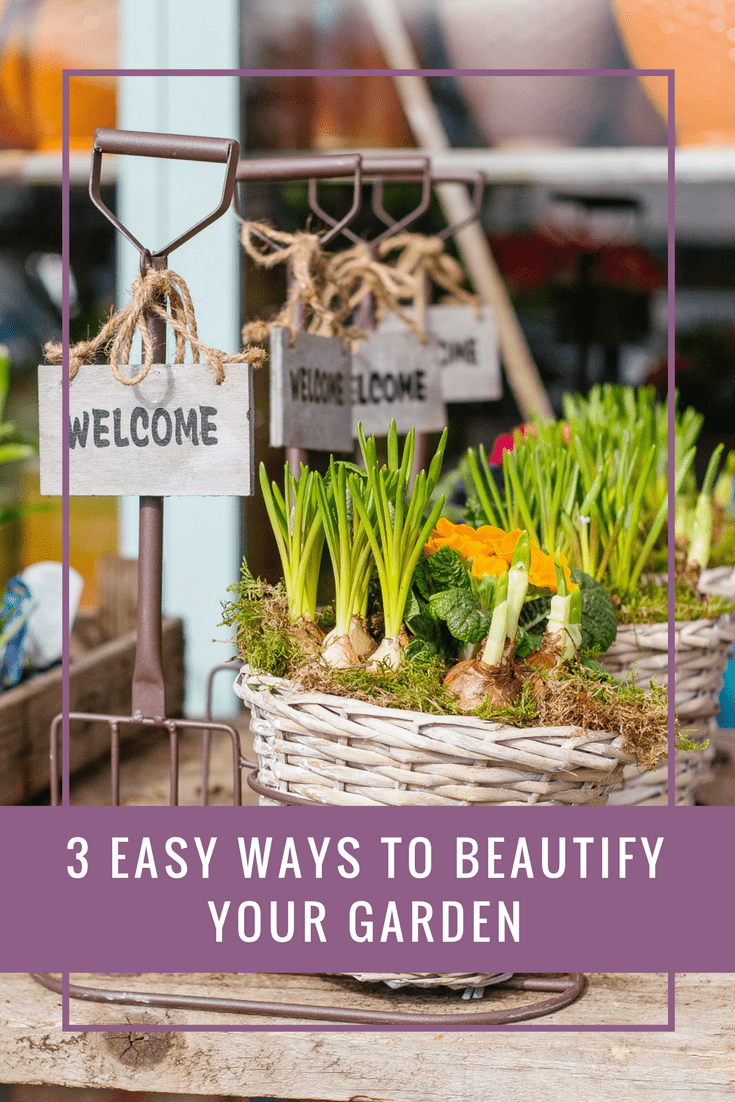 3 Easy ways to beautify your garden