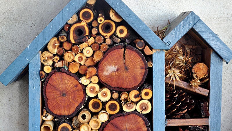 How to create a bug hotel | The perfect hibernation habitat this autumn