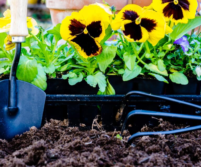 These simple tips will help make gardening easier