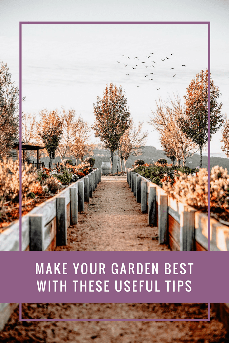 Make your garden best with these useful tips