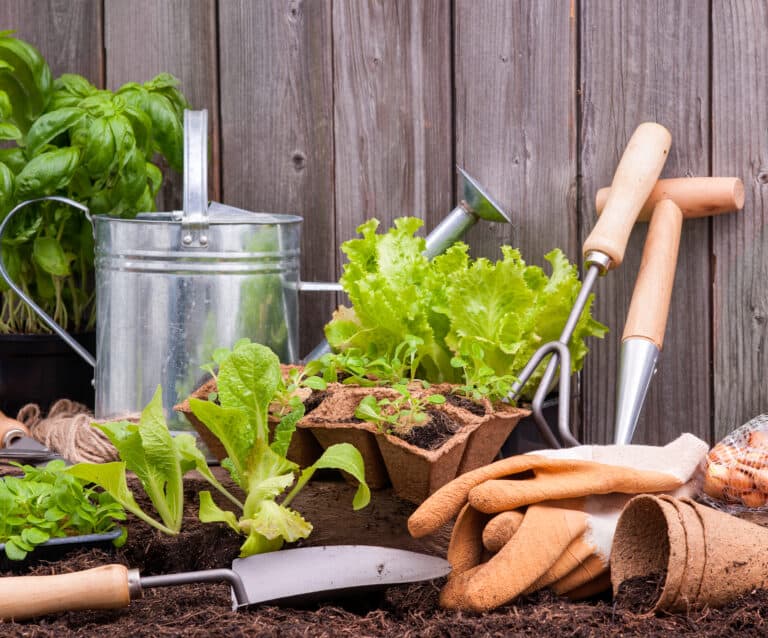 Top tips on how to plan a garden makeover | Boo Roo and Tigger Too