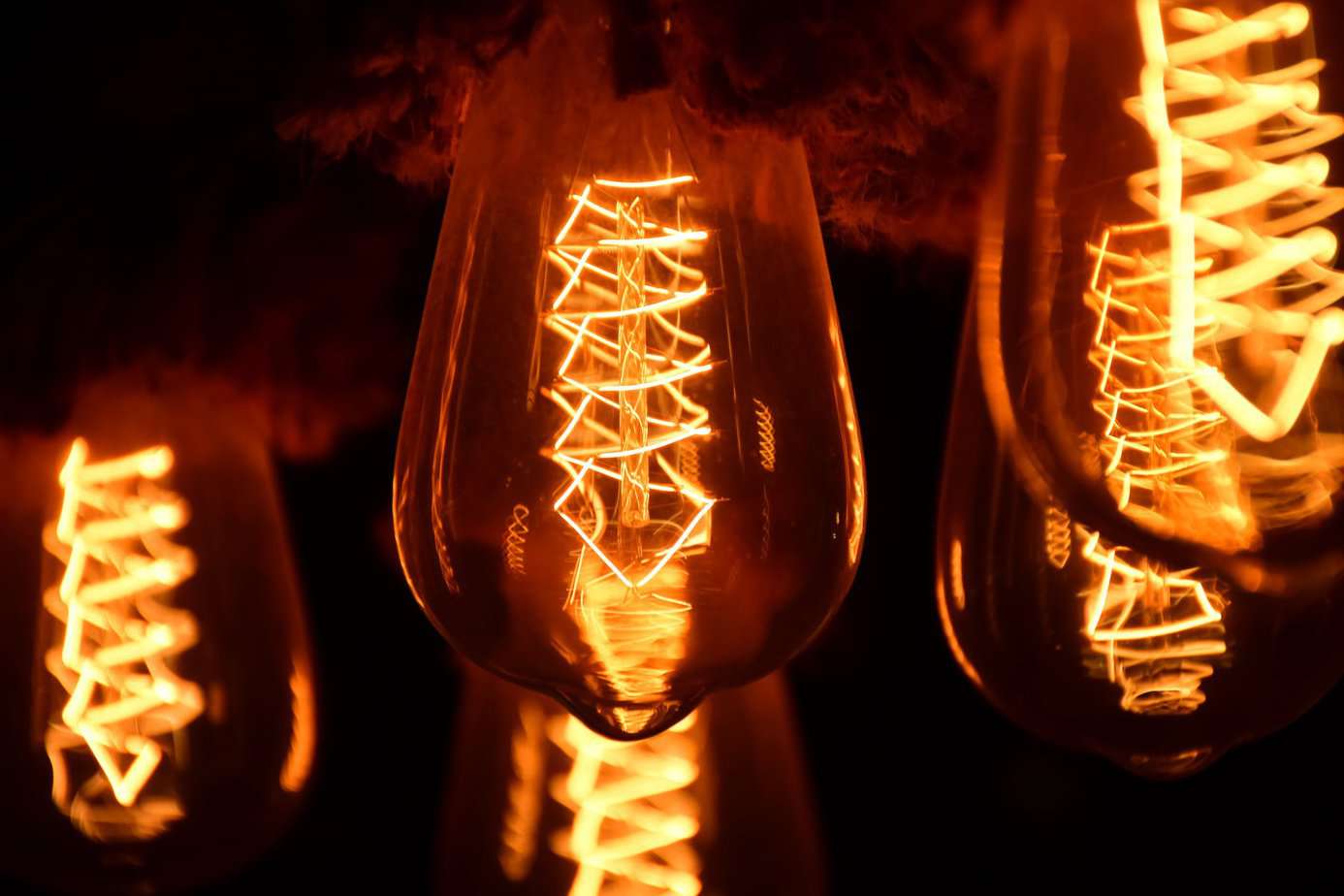 Safety Tips for Electricity: How to Stay Safe and Ensure That Your Are Covered in and Around Your House - shallow focus photography of light bulbs