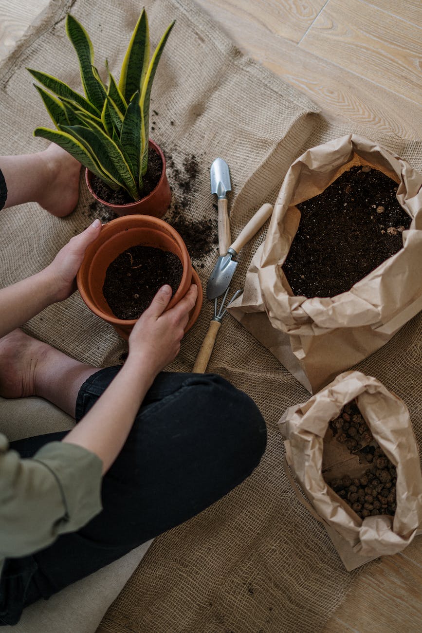 person holding brown plastic pot