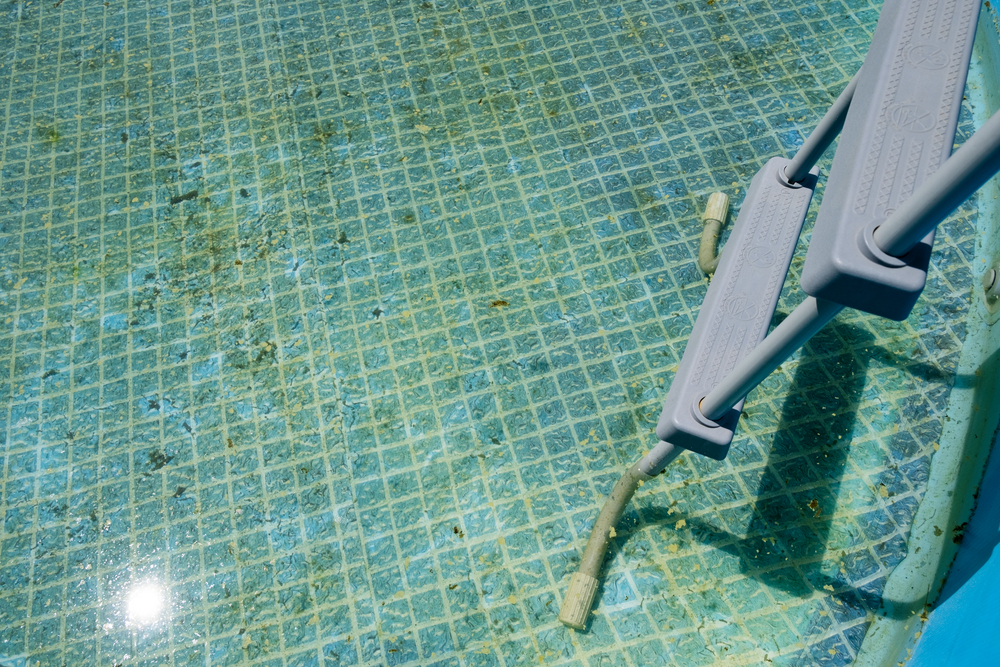 Green Pool? Here's How to Clean and Restore Your Pool to its Sparkling Glory