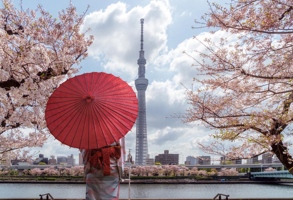 Tokyo, Japan Offers Futuristic Harmony