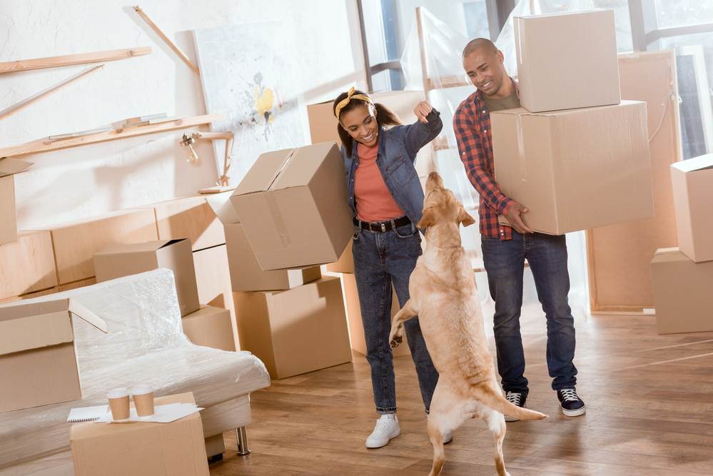 Ways you can move somewhere new without having the stress