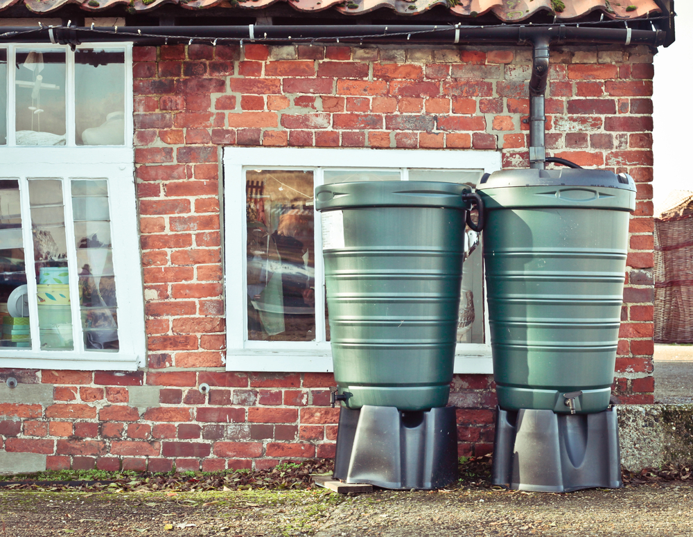 Collect rainwater in your garden