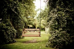 gazebo against trees